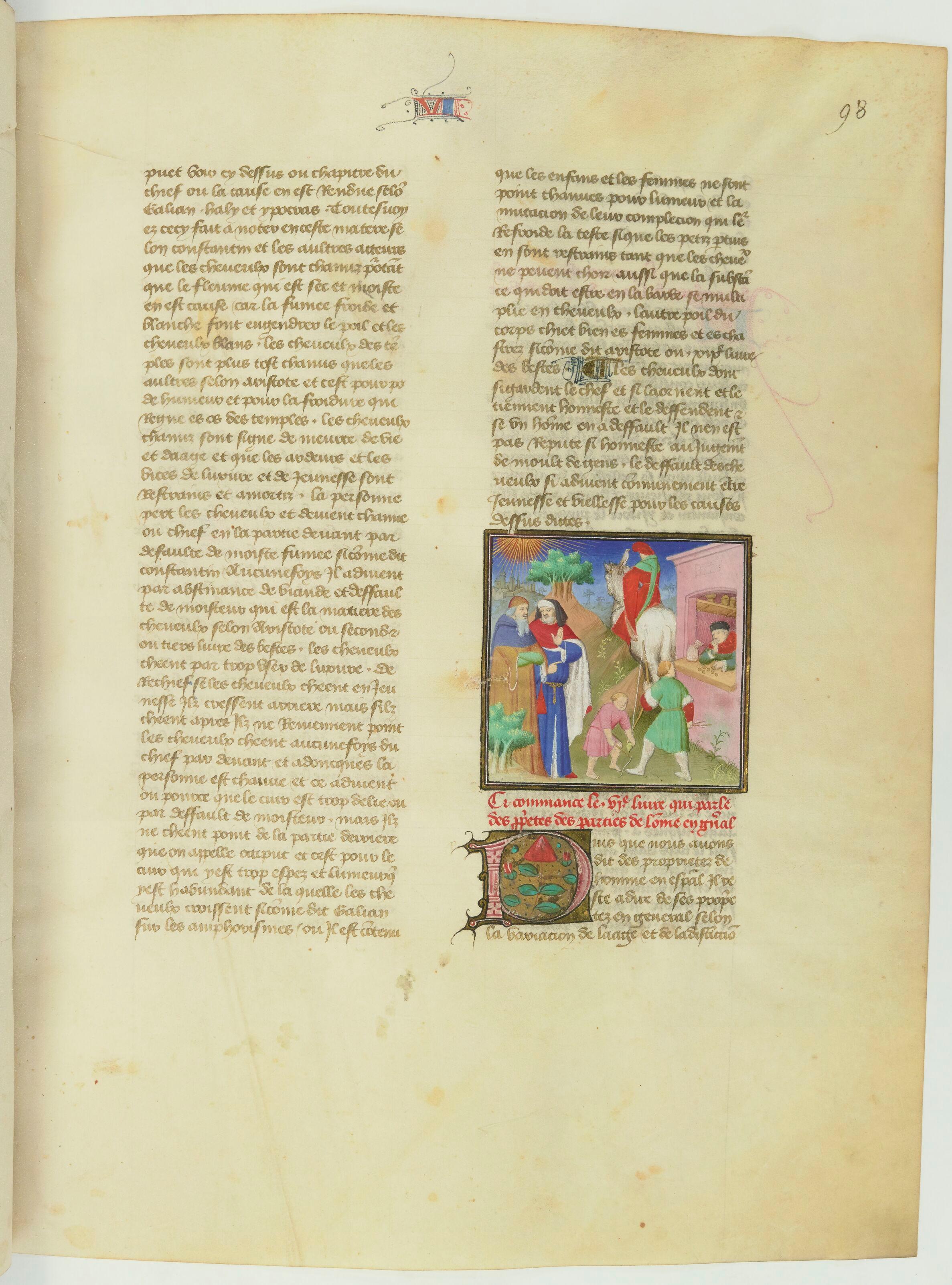 Image de l'oeuvre liée