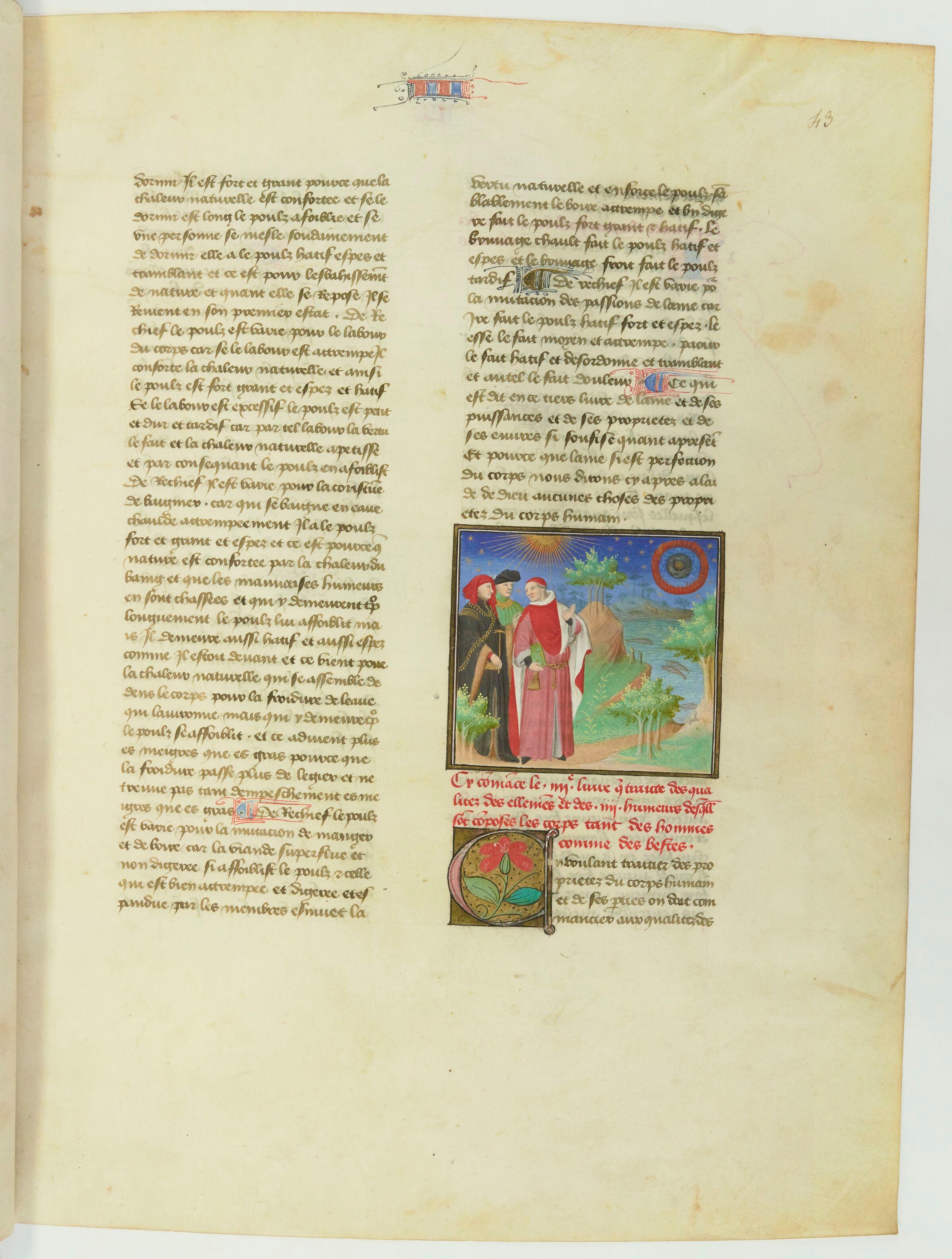 Image de l'oeuvre liée